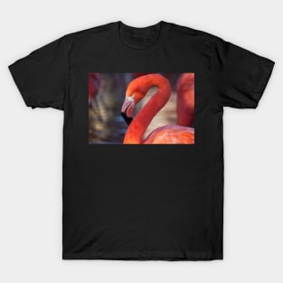 Flamingo T-Shirt